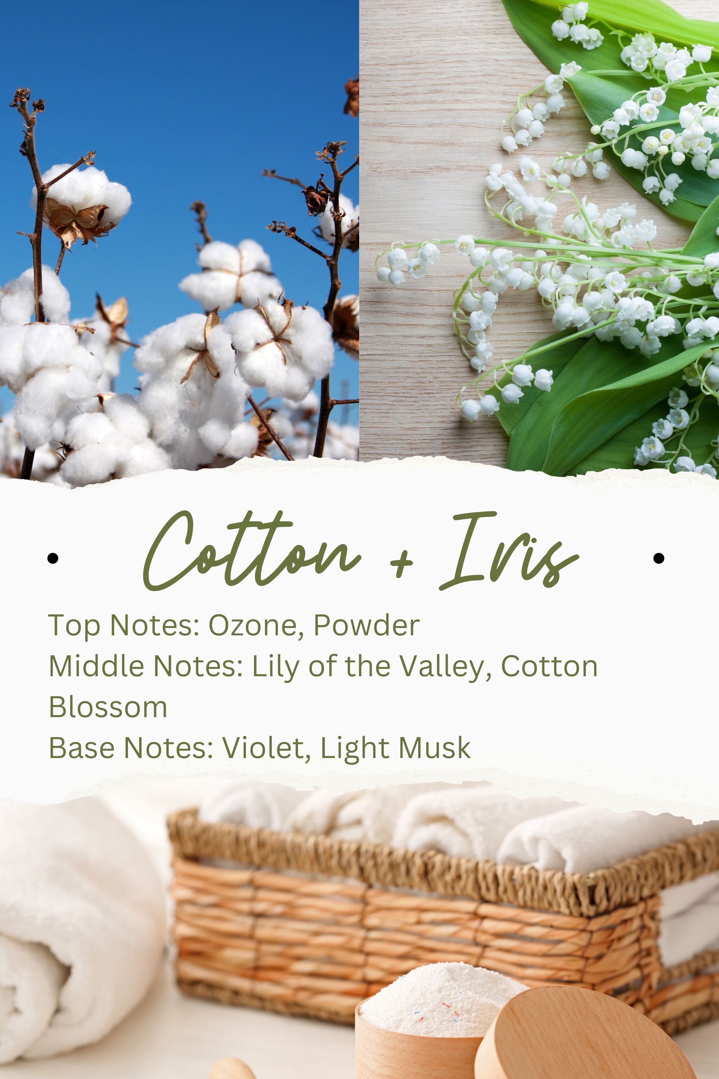 Cotton + Iris 8oz Soy Candle