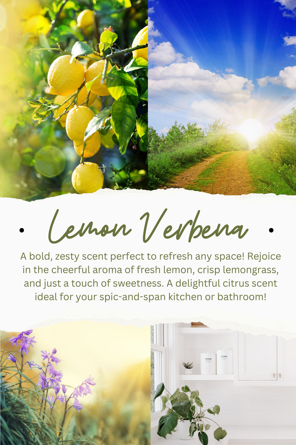 Lemon Verbena 8oz Soy Candle