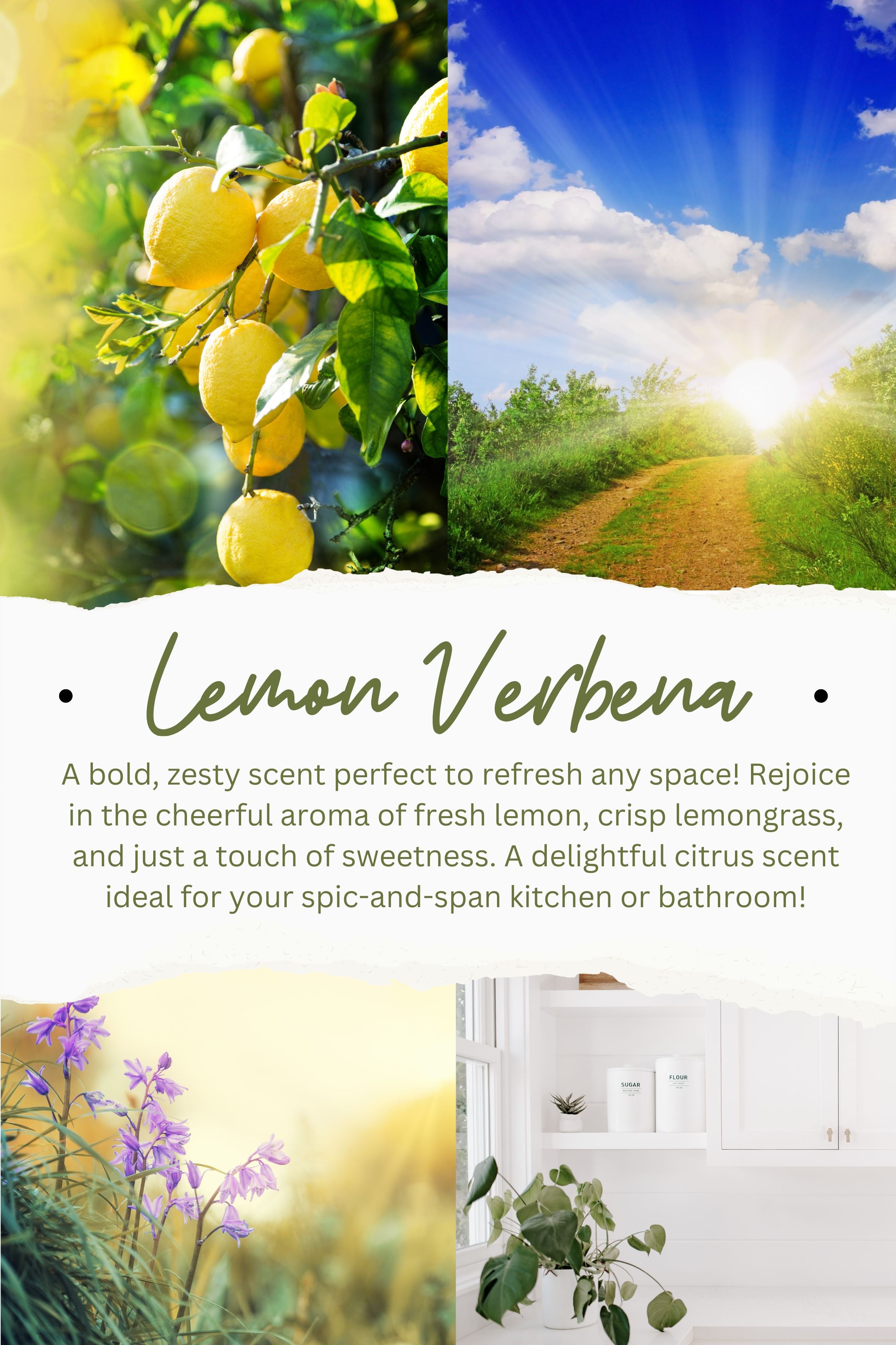 Lemon Verbena 8oz Soy Candle